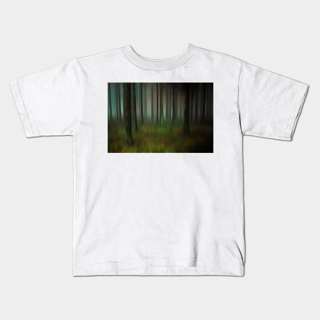 Forest Shadows Kids T-Shirt by JimDeFazioPhotography